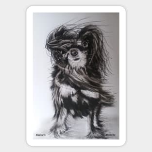 Dog on a 'Windy day' Sticker